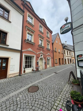 Rezidence Napoleon, Loket